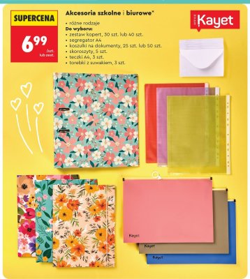 Segregator A4 Kayet promocja w Biedronka