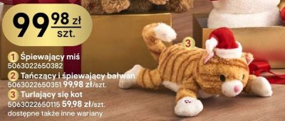 Śpiewający miś promocja w Castorama