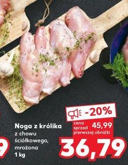 Noga z kr贸lika promocja