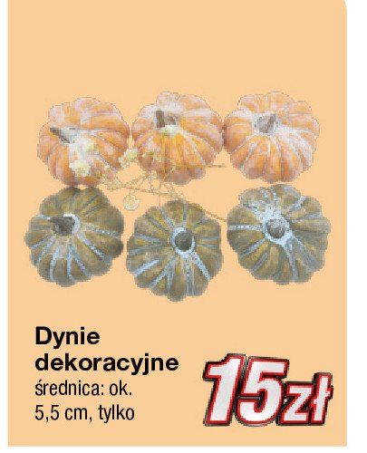 Dynie dekoracyjne 5.5 cm promocja