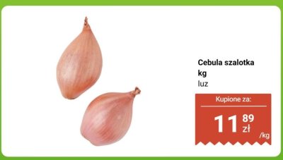 Cebula promocja w Biedronka