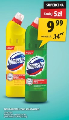 Płyn Domestos (cały asortyment) promocja w Arhelan