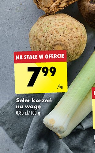 Seler korzeń promocja