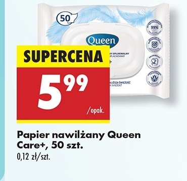 Papier nawilżany care+ Queen promocja