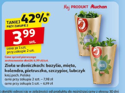 Bazylia Auchan r贸偶norodne (logo czerwone) promocja