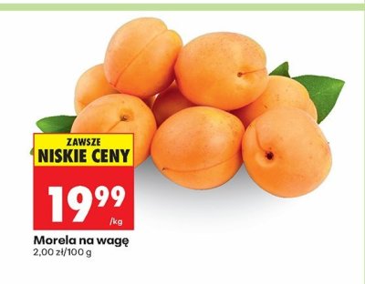 Morela na wagę promocja w Biedronka