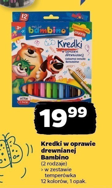 Kredki drewniane szkolne Moje bambino promocja