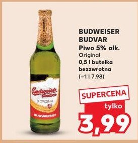 Piwo Budweiser promocja w Kaufland