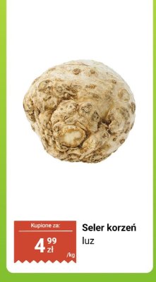 Seler korzeń luz Biedronka promocja w Biedronka