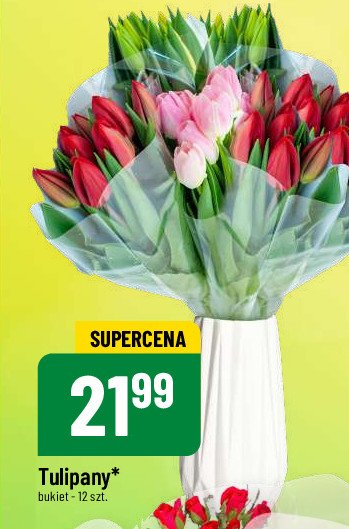 Tulipan promocja w POLOmarket