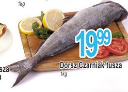 Dorsz czarniak tusza promocja