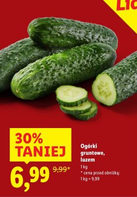 Og贸rki gruntowe bio promocja w Lidl