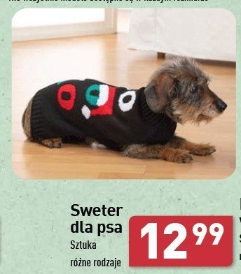 Sweter dla psa promocja