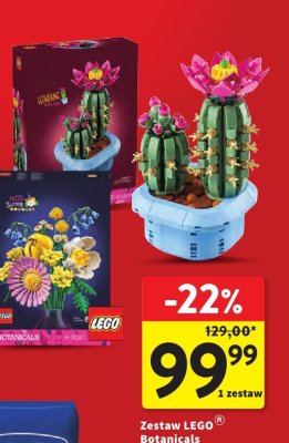 Zestaw LEGO Botanicals  promocja w Intermarche