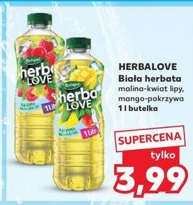 Napój zielona herbata-mango-pokrzywa HERBAPOL HERBALOVE promocja