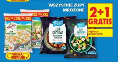 Zupa mrożona wszystkie rodzaje 2+1 GRATIS promocja w Biedronka