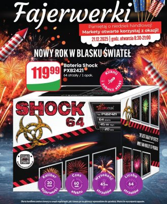 Bateria Shock PXB2421 promocja w Dino