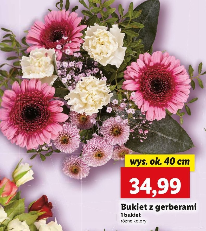Bukiet z gerberami promocja