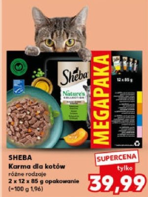 Karma dla kotów SHEBA różne rodzaje 2 x 12 x 85 g promocja w Kaufland