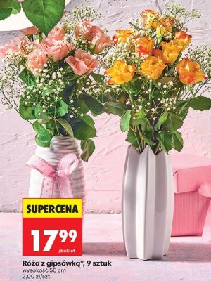 Róża z gipsówką 9 sztuk promocja w Biedronka
