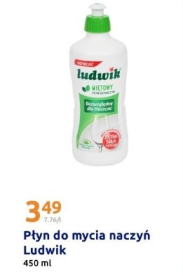 Płyn do mycia naczyń, miętowy, 450 ml promocja w Action