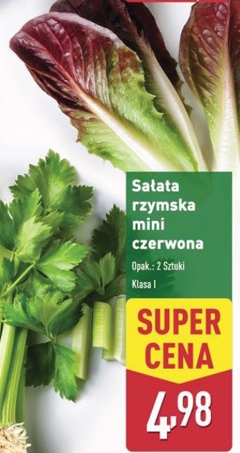 Sałata rzymska mini czerwona promocja