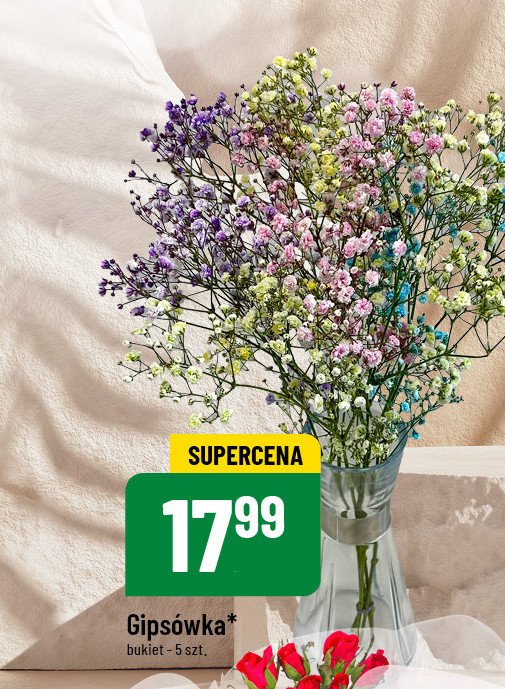 Gipsówka promocja w POLOmarket