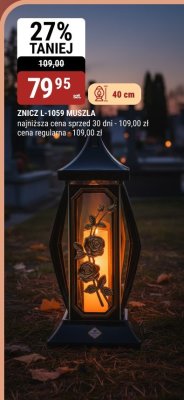 ZNICZ L-1059 MUSZLA promocja w bi1
