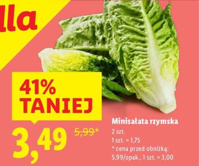 Minisałata rzymska promocja w Lidl