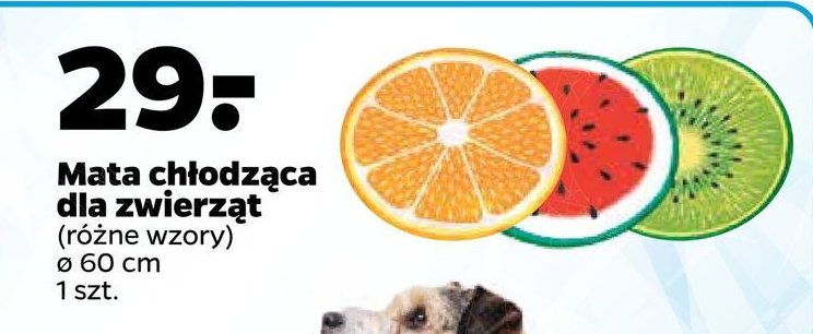 Mata chłodząca dla zwierząt 60 cm pomarańcza promocje