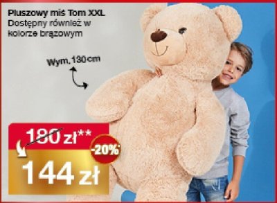 Pluszowy miś Tom XXL promocja w Woolworth