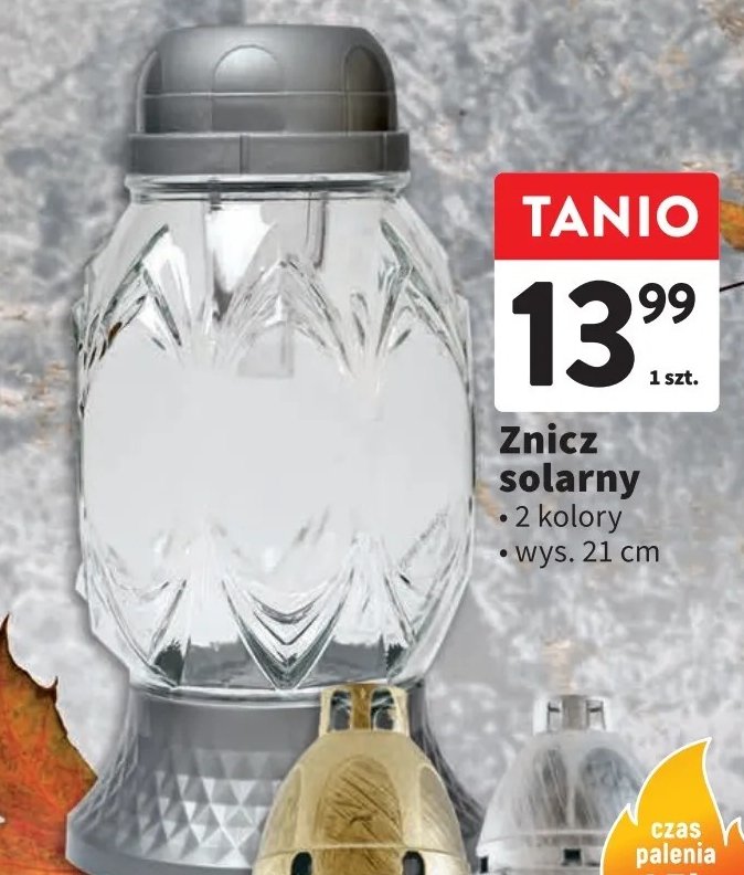 Znicz solarny promocja w Intermarche