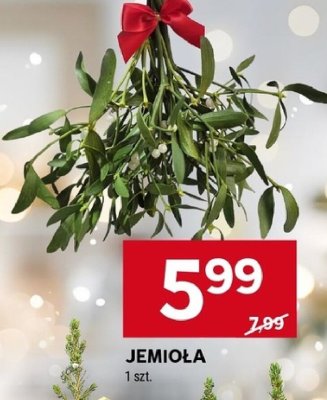 Jemioła promocja w Stokrotka