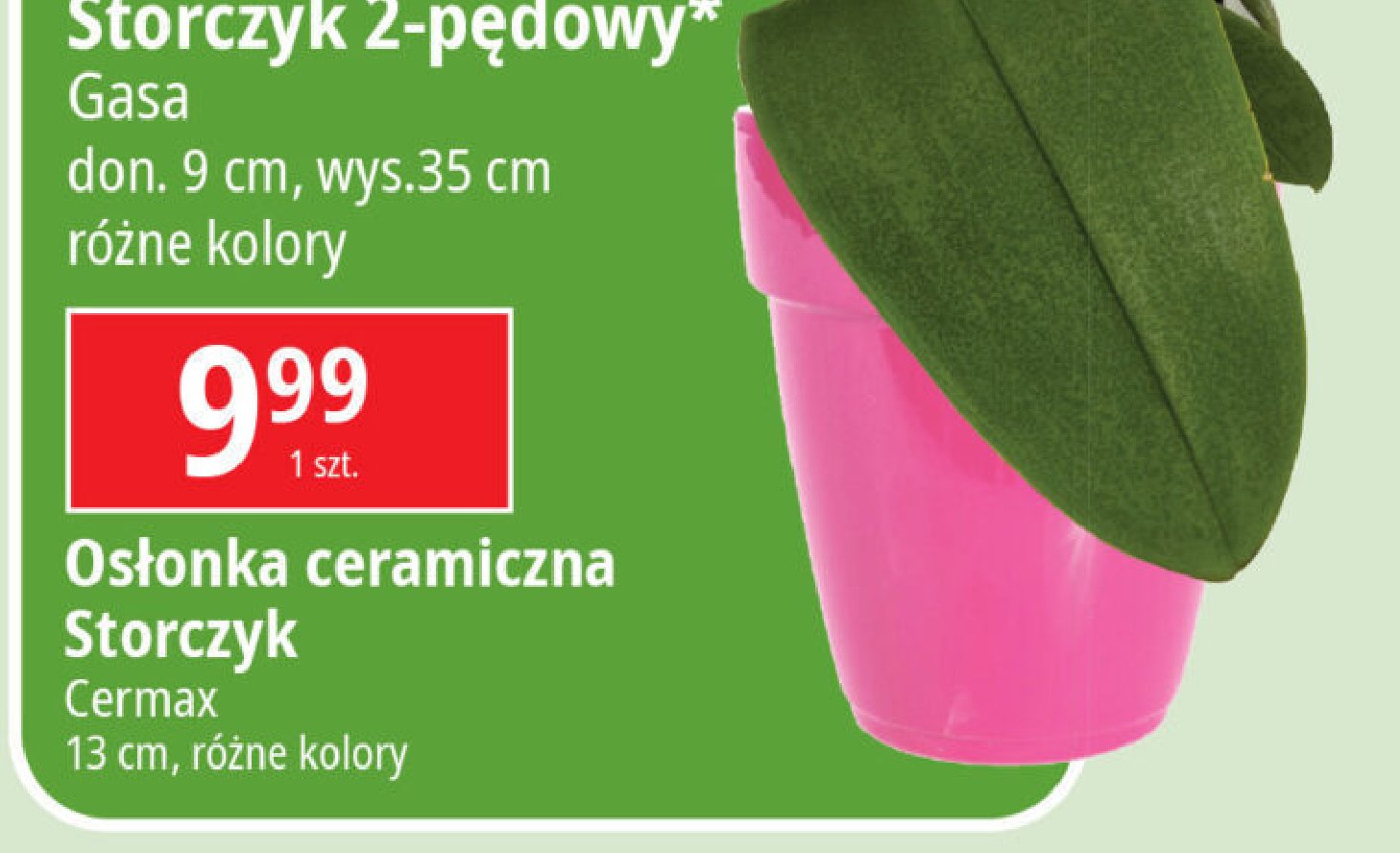 Osłonka storczyk 13 cm Cermax promocja