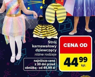 Strój karnawałowy dziewczęcy różne rodzaje promocja w Carrefour