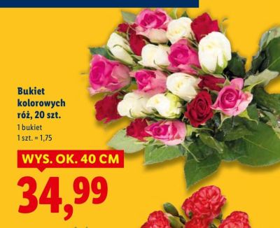 Bukiet kolorowych róż 20 szt. wys. ok. 40 cm promocja w Lidl