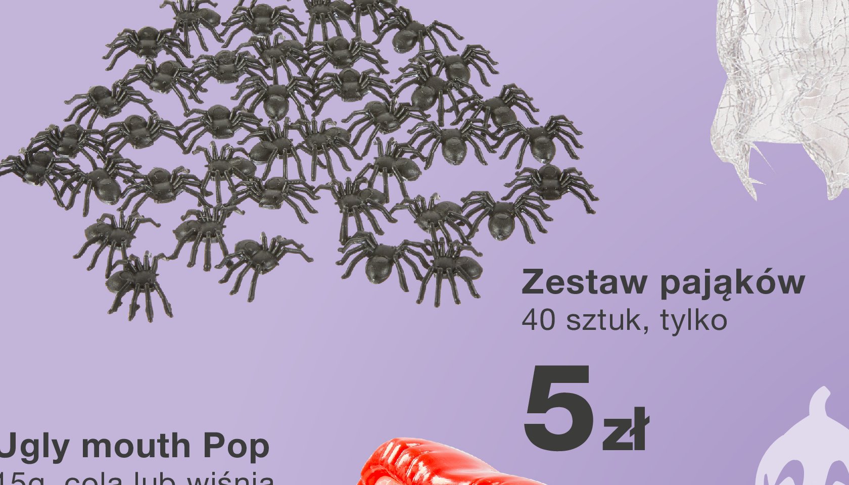 Zestaw pająków promocja