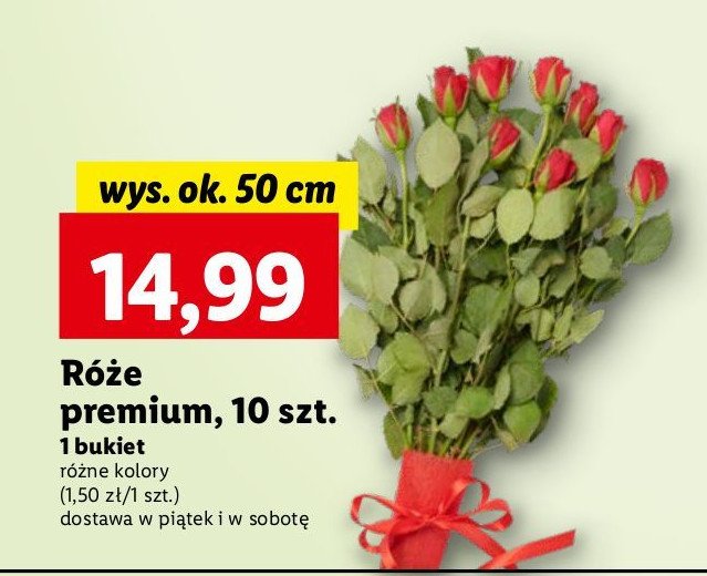 Róże premium 50 cm promocja