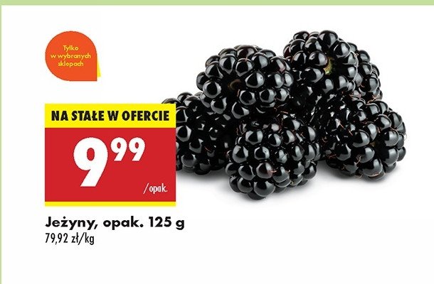 Je偶yna promocja