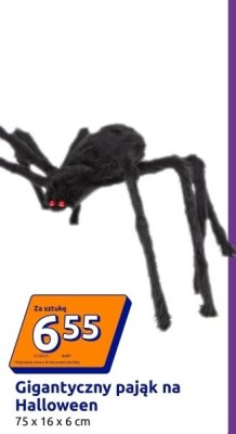 Gigantyczny pająk na Halloween promocja w Action