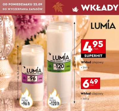 Wk艂ad promocja w Biedronka