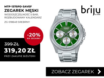 Zegarek męski CASIO MTP-1375PD-3AVEF srebrny promocja w Briju