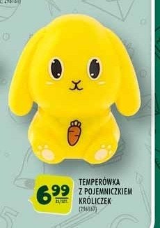 Temper贸wka z pojemniczkiem kr贸liczek promocja