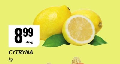 Cytryna z li艣ciem promocja w Chorten