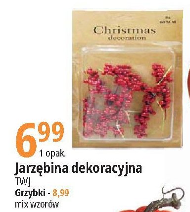 Jarz臋bina dekoracyjna Twj promocja