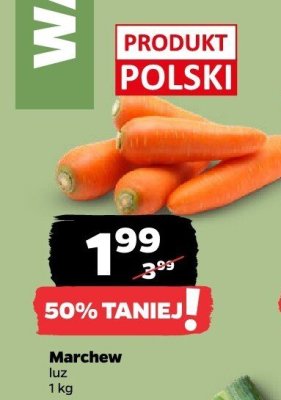 Marchew luz  promocja w Netto