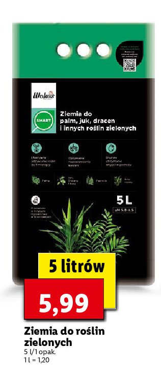 Ziemia do palm Wokas promocja
