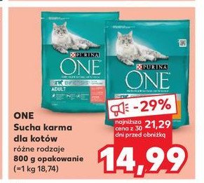 Karma dla kota adult łosoś i pełne ziarna Purina one promocja