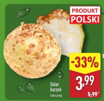 Seler korzeń promocja w Aldi