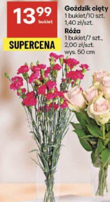 Róża 1 bukiet/7 szt. promocja w Delikatesy Centrum